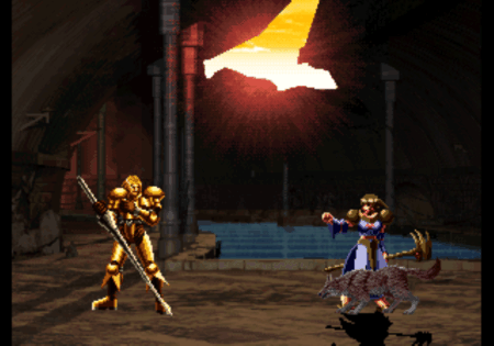 Unknown Neo-Geo Vs. Fighter (prototype) Decor (3)